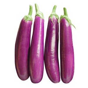 BRINJAL LONG (INDIA)