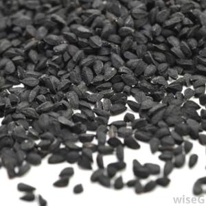 KALONJI / KARUM SEERAGAM / BLACK CUMIN 100G