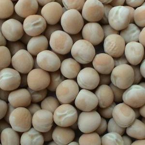 DRY WHITE PEAS 500G