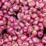 RED ONION-SMALL (SAMBAR ONION)