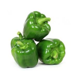 GREEN PEPPER / CAPSICUM / SHIMLA MIRCHI