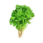 CORIANDER LEAVES / DANIYA PATHA